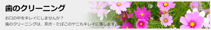 インプラント・矯正などの無料相談